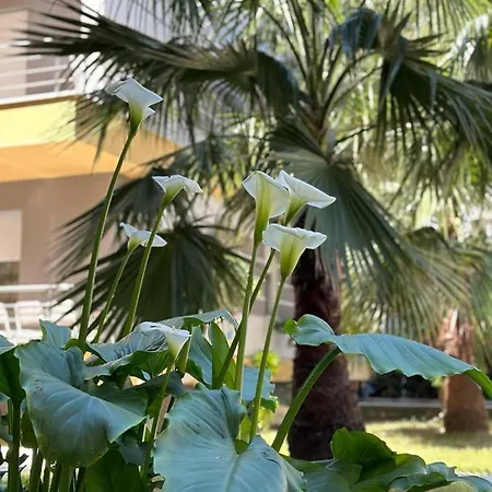 Ermar 2 Daire Golem (Tirana)