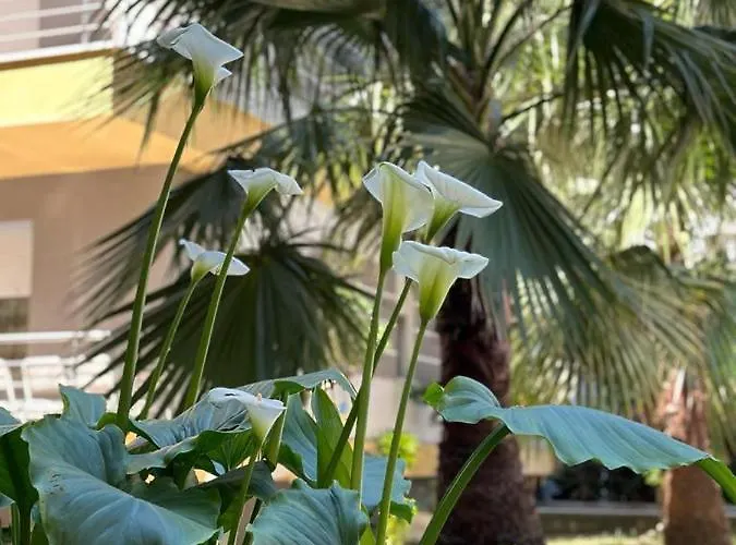 Ermar 2 公寓 格勒姆